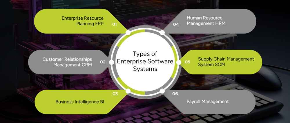 Types-of-Enterprise-Software-Systems